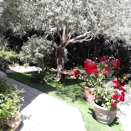 Chez Sophie Roquebrune-sur Argens